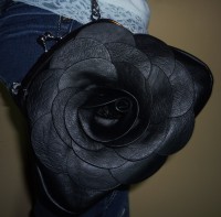 /album/fotogaleria-aktualne-kolekcie/p1070957-jpg/